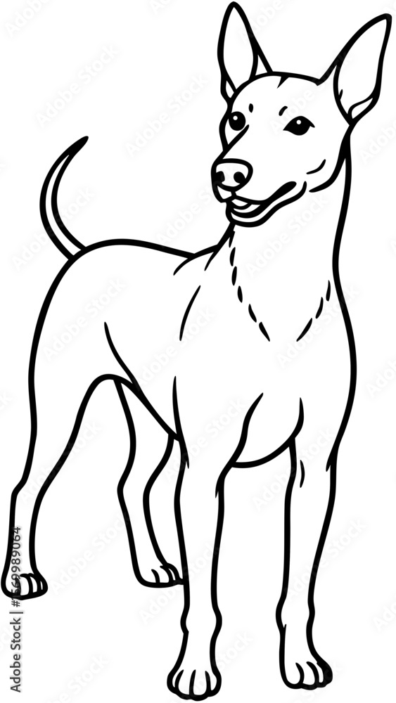 Obraz premium Dog standing with ears up, drawn with simple lines