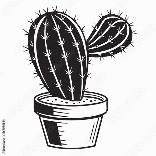 cactus in a pot