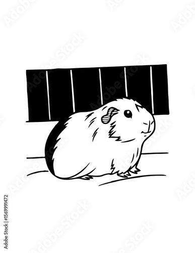 Guinea-Pig invents flying vegetable machine.
