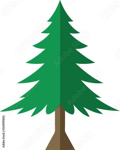 Evergreen: Illustrative representation of an evergreen tree, the embodiment of resilience and vitality, against an empty canvas.