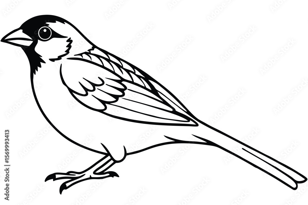 Fototapeta premium Detailed Black and White Line Art Illustration of a Small Sparrow Perched Sideways