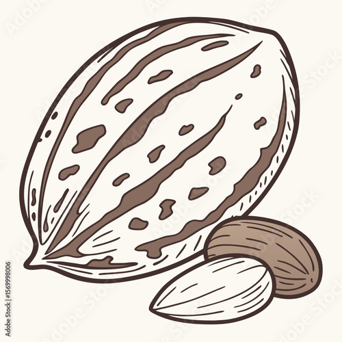 Pinto Bean  Vector AI Line Art Food Symbol for Healthy Cooking & Nutrition Design 