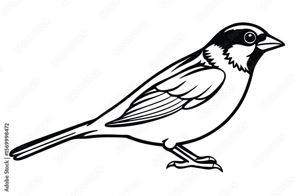 Detailed Black and White Illustration of a Sparrow Bird with Elegant Lines Detailed Black and White Illustration of a Sparrow Bird with Elegant Lines