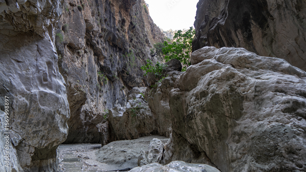 Fototapeta premium Stream in deepest narrow stone canyon Saklikent in national park in Mugla Province in southwestern Turkey. Wild natural beauty