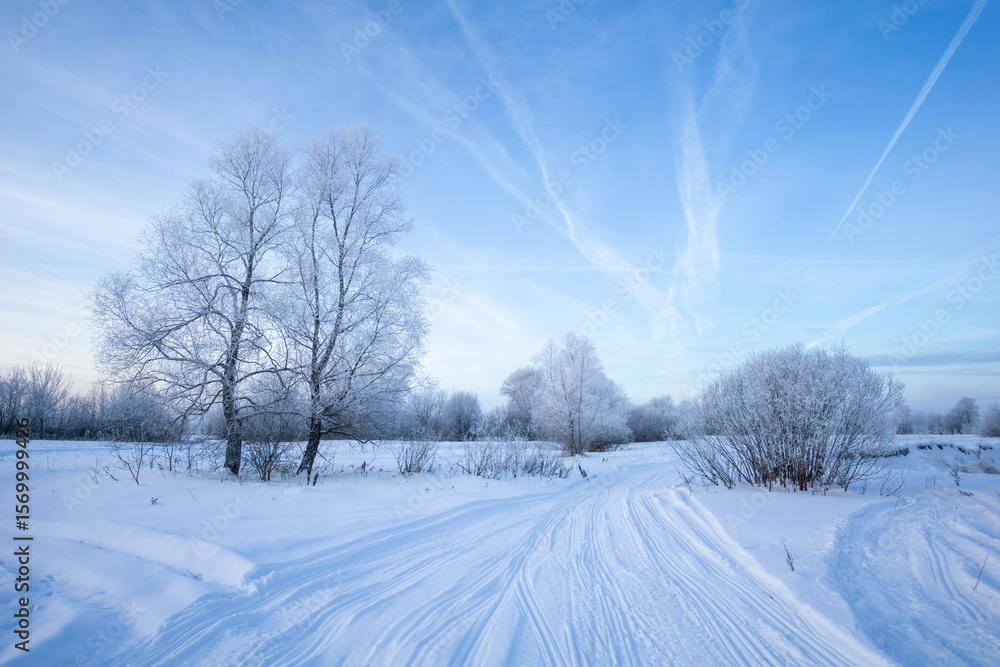Obraz premium winter landscape with trees