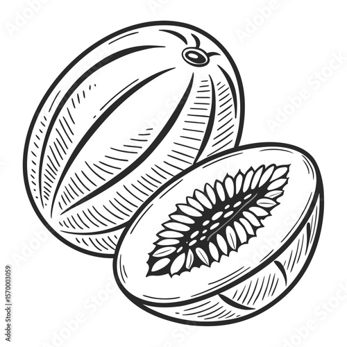 Bean Seed  Vector AI Line Art Food Symbol for Healthy Cooking & Nutrition Design