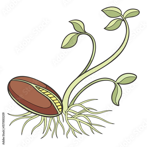 Sprouted Bean  Vector AI Line Art Food Symbol for Healthy Cooking & Nutrition Design