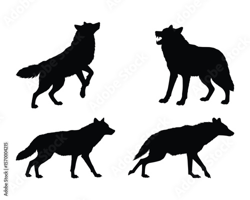 Four Wild Canine Silhouette Designs for Graphic Use, This image set features four black silhouette designs of canines, likely wolves or similar animals, in various poses.