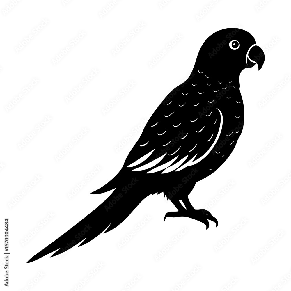 Obraz premium Exotic bird parrot tropical avian wildlife animal silhouette art