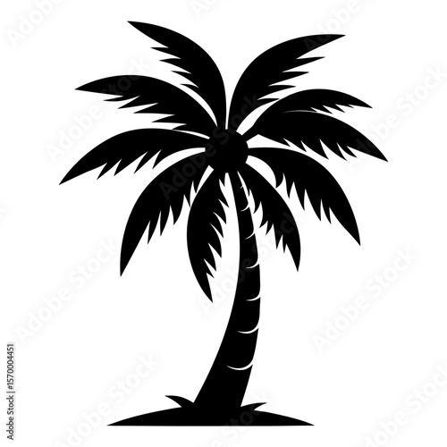 palm tree silhouette