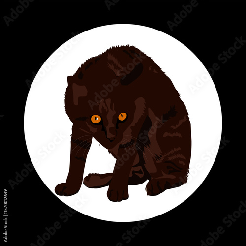 Black Cat with Piercing Orange Eyes