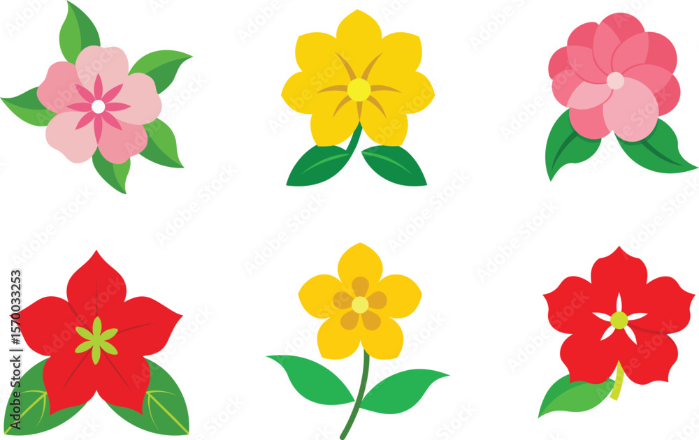 Obraz premium Phlox Flower Color Vector Illustration 