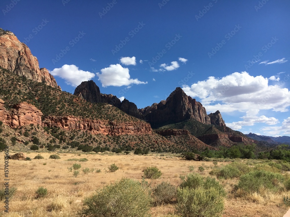 Fototapeta premium Zion National Park - Utah