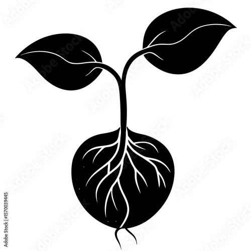 Bean Sprout  vector in AI format ideal for food, nutrition, vegan, and organic design projects.