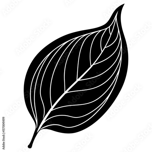 Bean Leaf  vector in AI format ideal for food, nutrition, vegan, and organic design projects.