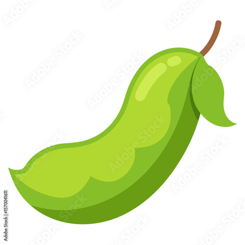 Lima Bean  vector in AI format ideal for food, nutrition, vegan, and organic design projects.