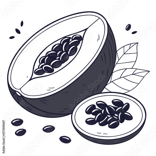 Navy Bean  vector in AI format ideal for food, nutrition, vegan, and organic design projects.