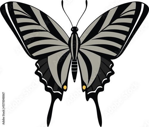 Symmetrical swallowtail butterfly with gray and black patterned wings. Great for nature designs, prints, and scientific visuals, Swallowtail Butterfly Vector in Gray and Black
