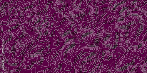 The Pulse of an Imaginary Land

