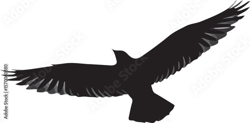 bird flying  on white background Flying Eagle Silhouette – Bold Soaring Bird Vector