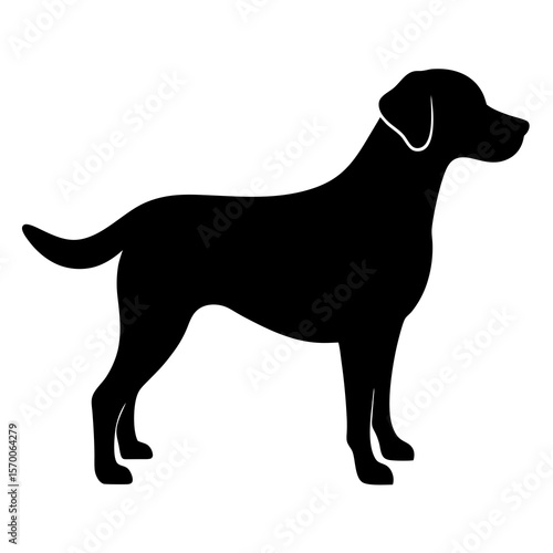 Black Labrador Retriever silhouette standing canine
