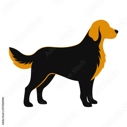 Golden Retriever silhouette black orange