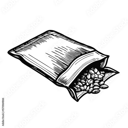Seed-packet-sketch engraving of seeds spilling from an opened packet. This seed-packet-sketch illustration depicts seeds, ready for planting, in an open packet with hand-drawn details and shading.