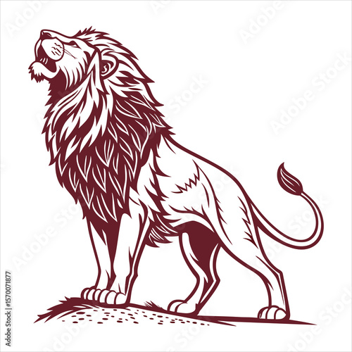 Vector illustration of full body of wild lion, zoology illustration, royal predator safari animal.