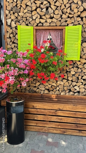pink and red flowers on the street facade decor. Pelargonium peltatum