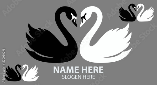  Yin Yang Black and White Swans