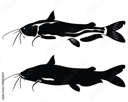 Catfish Vector Illustrations in Black and White