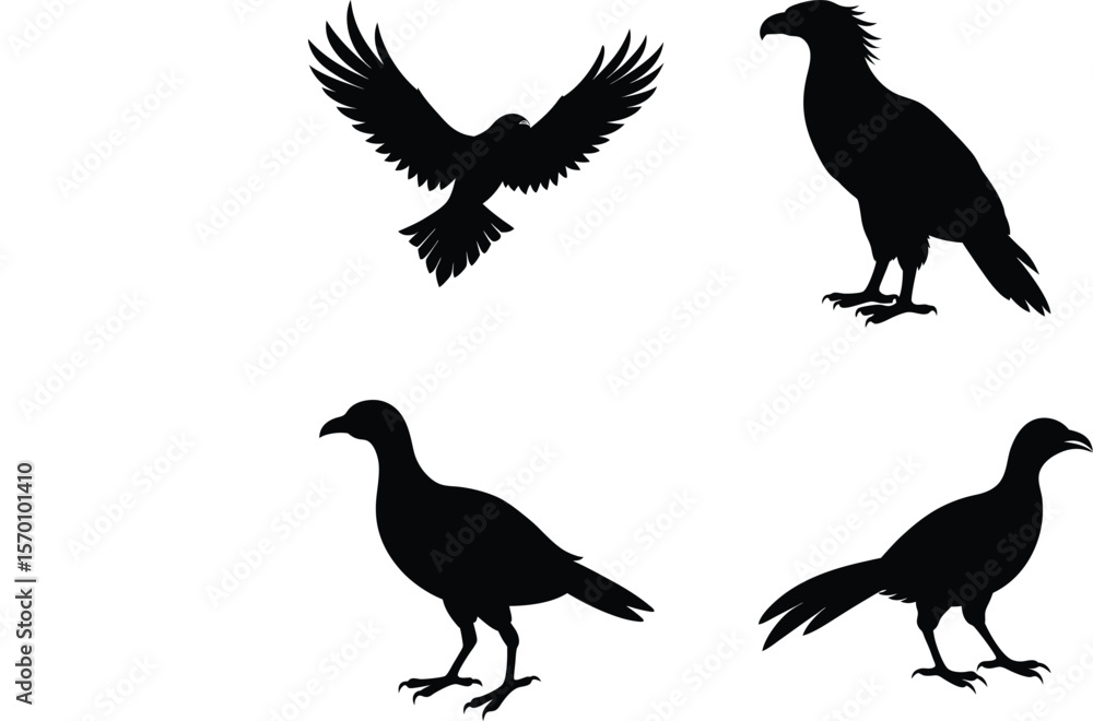 Fototapeta premium Caracara Silhouette Flying Partially Spread Wings Vector Illustration