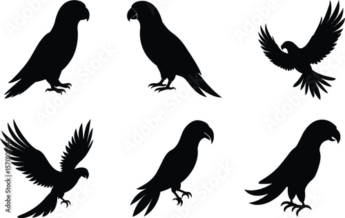 Eclectus Parrot Silhouette Perched Forward Vector Illustration