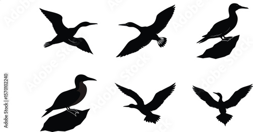 Gannet Silhouette Diving Toward Water Vector Illustration