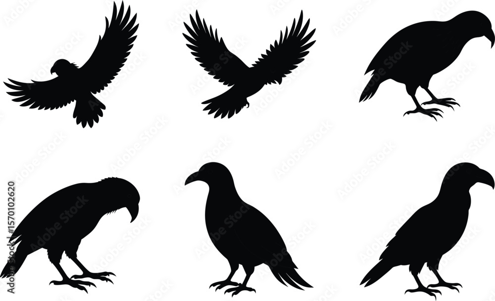 Obraz premium Kea Silhouette Flying Half Extended Wings Vector Illustration