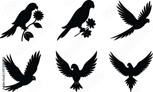 Lorikeet Silhouette Drinking Nectar Vector Illustration