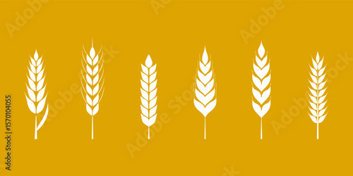 Wheat stalks collection. Vector illustration six distinct white wheat ears or rice isolated on vibrant golden background, ideal for agricultural wheat themes, food packaging or organic products logo.