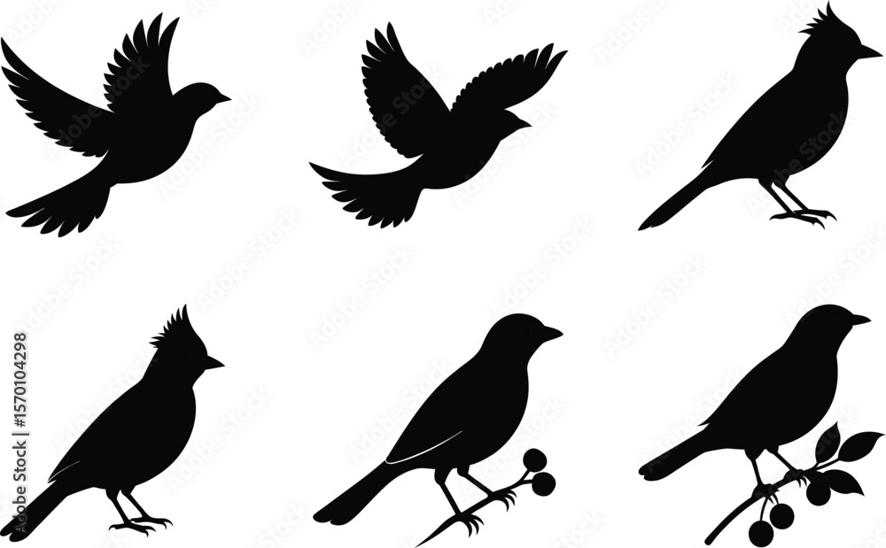 Obraz premium Waxwing Silhouette Flying Closed Wings Vector Illustration