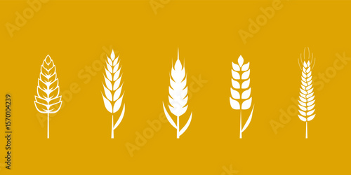 Wheat ear vector illustrations on golden background. Set of five stylized grain logo wheat grain designs in various shapes and sizes, ideal for agricultural themes, packaging or organic eco products.