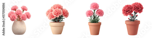 Wallpaper Mural Carnation flower pot png in 3d render transparent for cute tree pot presentation. Torontodigital.ca