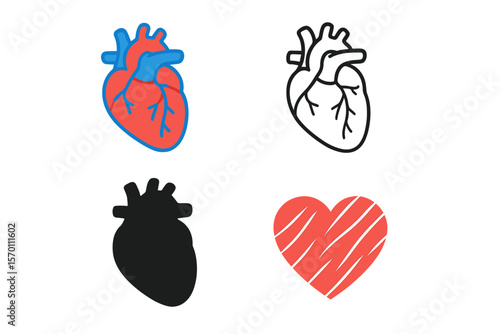 A set of colorful icons representing the human heart, cardiac muscle lines, and silhouettes, used in medical cardiology pictograms, symbolizing a healthy cardiovascular organ on a white background as