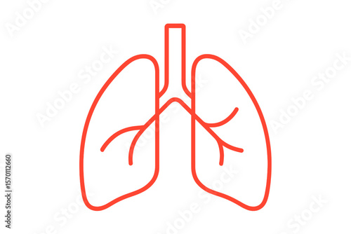 Vector illustration of a human lung in a flat line style, a thin pictogram for a pulmonary clinic