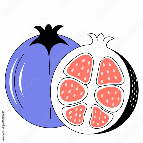 Pomegranate fruit icon in flat vector