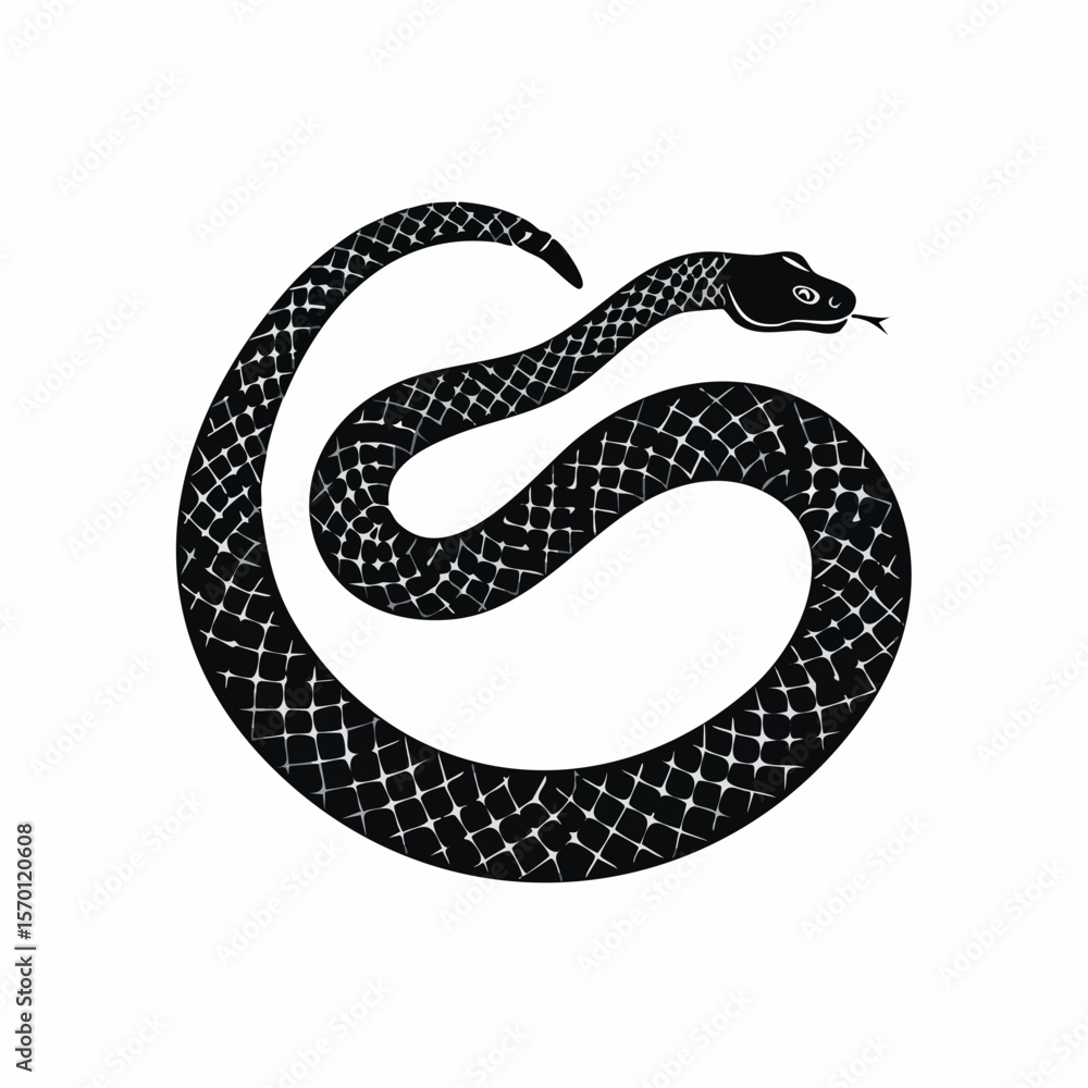 Obraz premium Black mamba Vector Images. Black and white Mamba Snake Images isolated on white background.