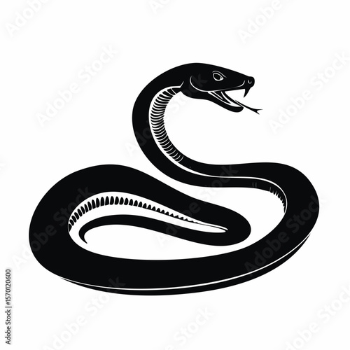 Black mamba Vector Images. Black and white Mamba Snake Images isolated on white background.