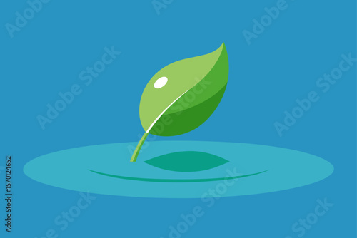 Leaf Floating on Water Calm Mood