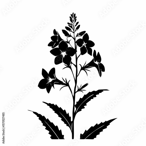 Lobelia Flower Silhouette Vector Illustration on white background.