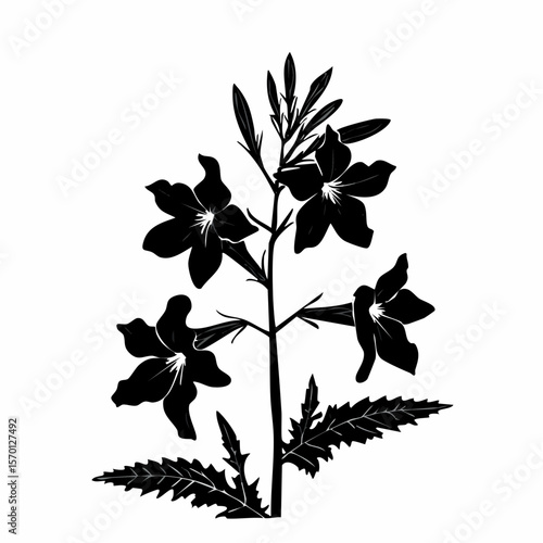 Lobelia Flower Silhouette Vector Illustration on white background.