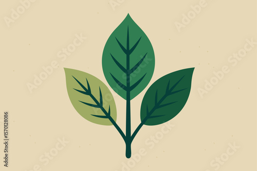 Pressed Botanical Leaves on Paper Texture