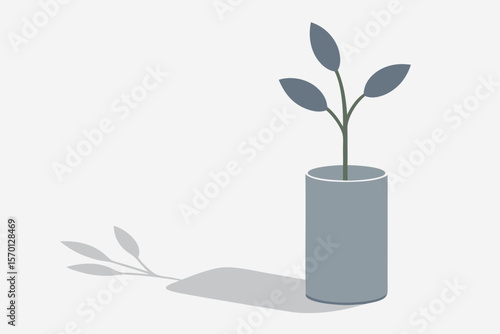 Plant Shadow Still Life on White Background
